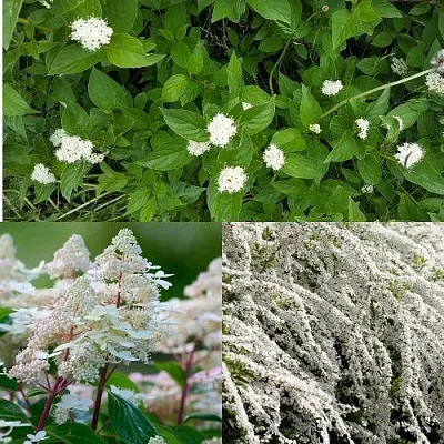 Комплект СКАНДИНАВСКИЙ СТИЛЬ в Чите