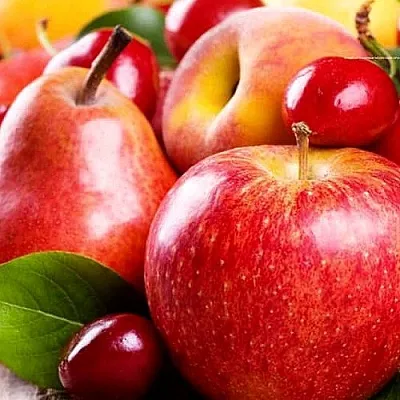 Плодовые деревья  Плодовые деревья в Чите