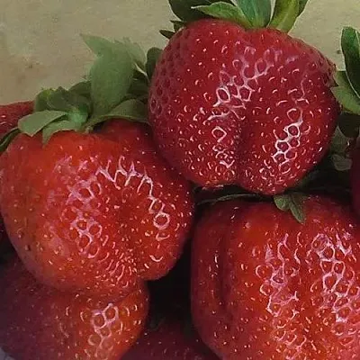 Клубника ДЕСТЕНИ  Клубника ДЕСТЕНИ в Чите