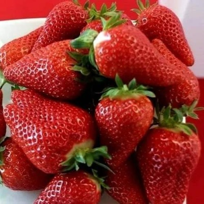 Клубника БРИЛЛА в Чите